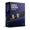 Программы для обработки звука WAVES VIDEO SOUND SUITE